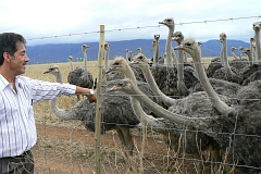 0743-Reis Zuid-Afrika2007